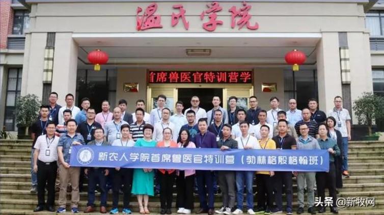 非瘟来了，猪场还有生存希望吗？在这里，他们找到了答案