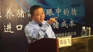 猪价、进口肉、养猪成本的关系有多深？