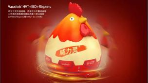 2021“合一力，翰新生”勃林格威力灵®中国上市发布会